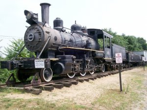 262.jpg