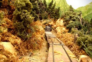 On Board the logging train.jpg