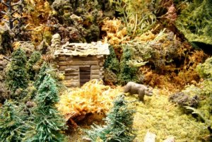 Bear in the Deep Woods.jpg