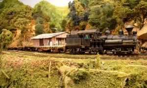 Train leaving Fish Camp.jpg