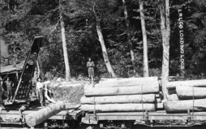 Prototype log car.jpg