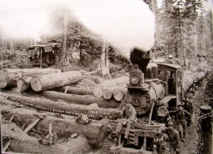 Prototype Log Roll.jpg