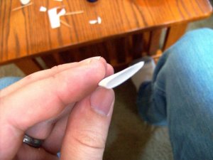 100_1436.jpg