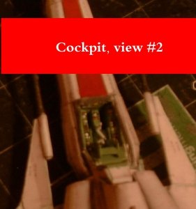 31.jpg