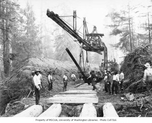 Track laying gang copy.jpg