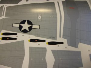 IMG_0203.jpg