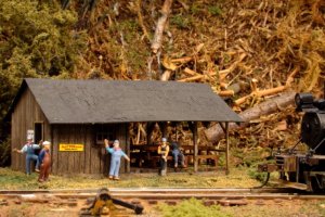Camp 9 2.jpg