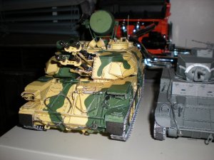 shilka 1.jpg
