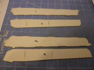 IMG_0233.jpg