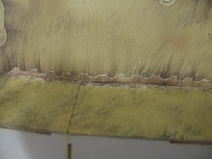 IMG_0254.jpg