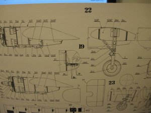 IMG_0282.jpg