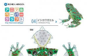 frog.jpg