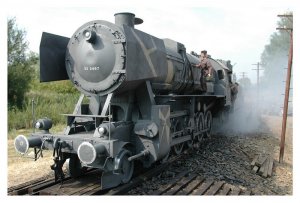 86143447-L.jpg