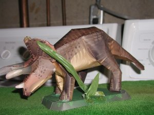 tricerotops (2) (600 x 450).jpg