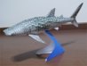 sharkwhale02.jpg