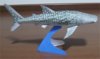 sharkwhale03.jpg