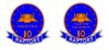 Raptor Insignia.jpg