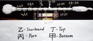 spine nut chart.jpg