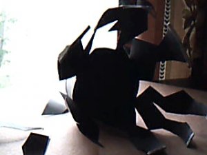 Picture 95.jpg