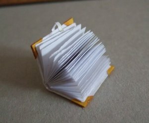 2009_05200011.jpg