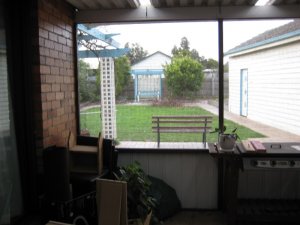 IMG_0336.jpg