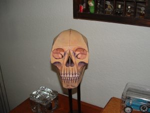 DSCF0003.JPG