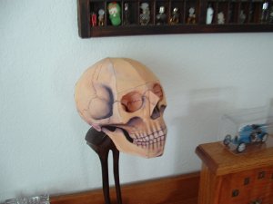 DSCF0005.JPG