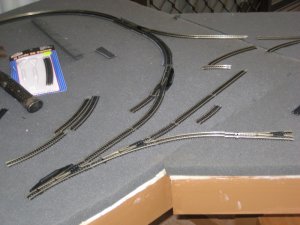 IMG_0338.jpg
