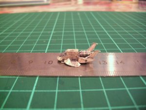 Raptor04.jpg
