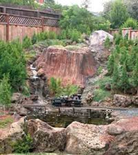 trees on concrete mountains.jpg