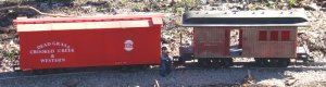 Dead Grass and Crooked Creek Box Car.jpg