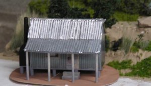 1 my shack.jpg