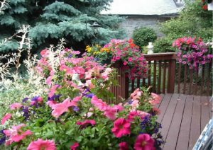garden.jpg