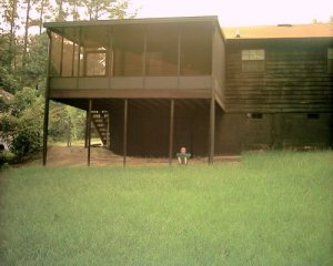 house rear 2.jpg