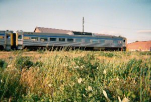 t001-015.jpg