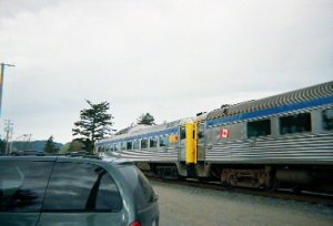 t001-024.jpg