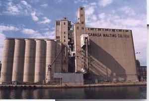 malt.jpg