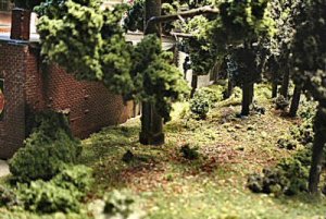 2back woods.jpg