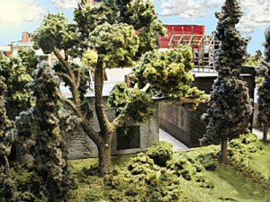 3back woods2.jpg