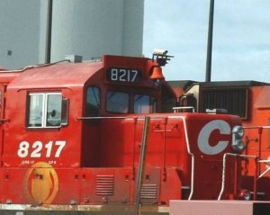 cp,8217.jpg