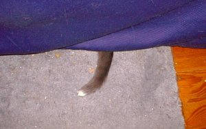 pic00001.jpg