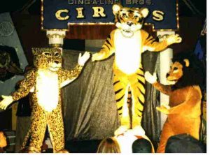 dbcats2.jpg
