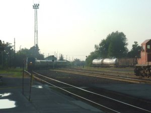 photo2.jpg