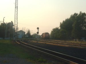 photo8.jpg