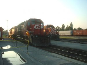 photo11.jpg