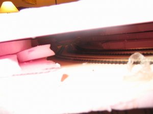img0186.jpg