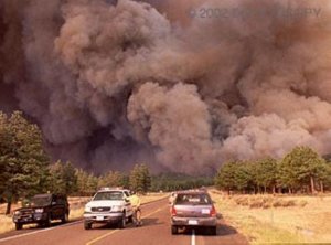 forest fire 1.jpg