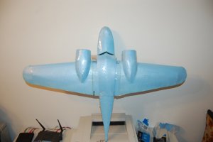 FG_Goose04.jpg
