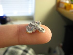 IMG_3469.jpg