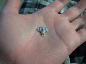 IMG_3471.jpg